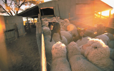 Longreach Regional Council